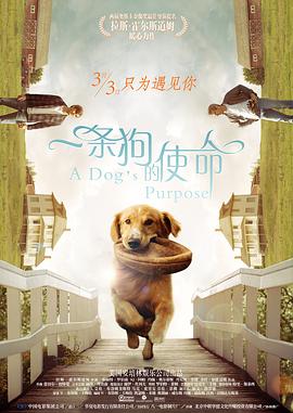 久久久久avav久久久